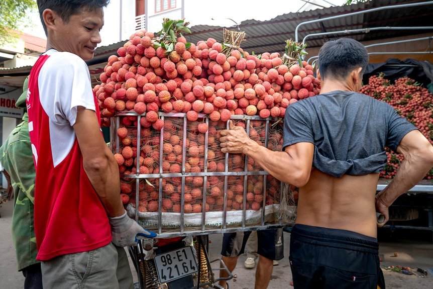 smart authority market lift